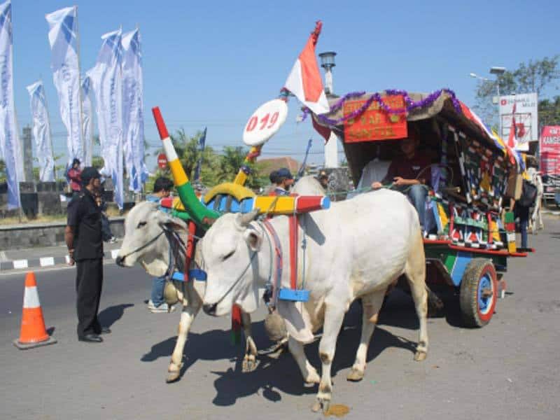 pariwisata