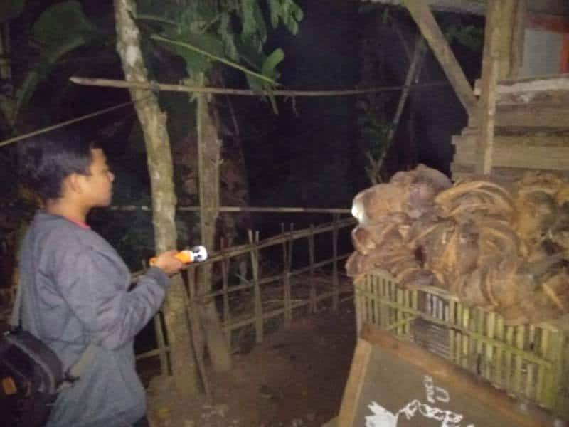 pemuda