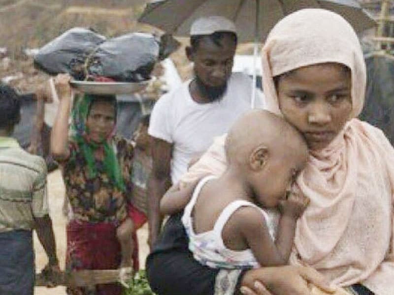 rohingnya