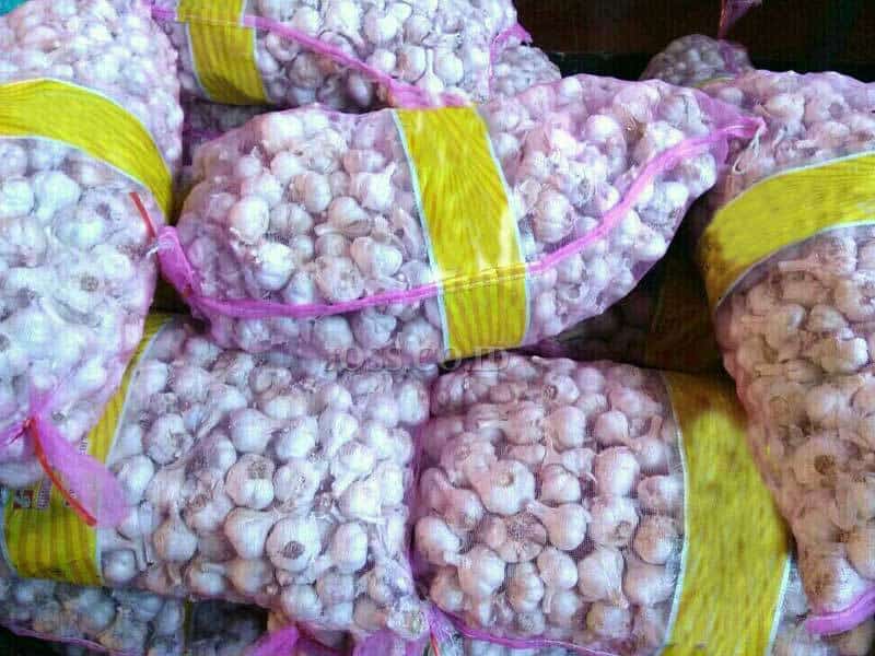harga bawang