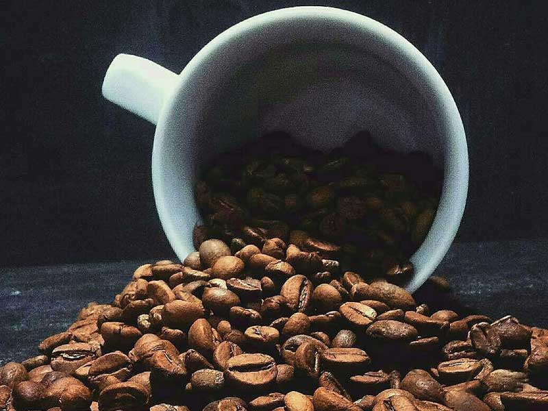 prodi kopi