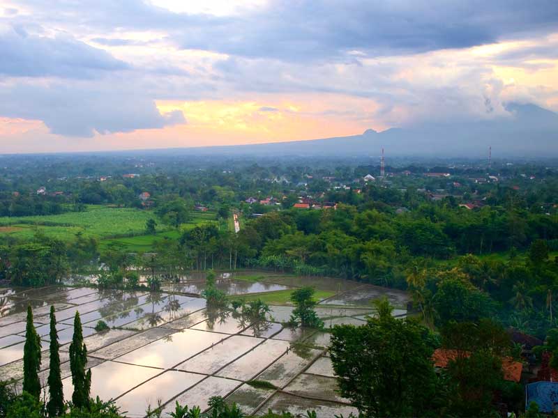 desa