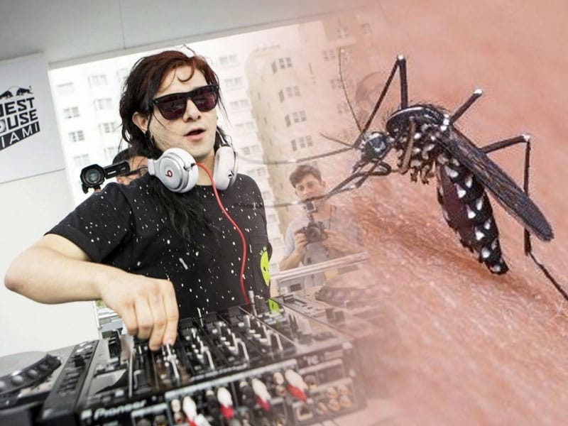 DJ Skrillex