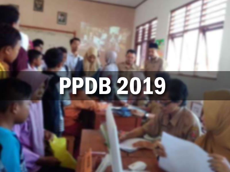 ppdb 2019