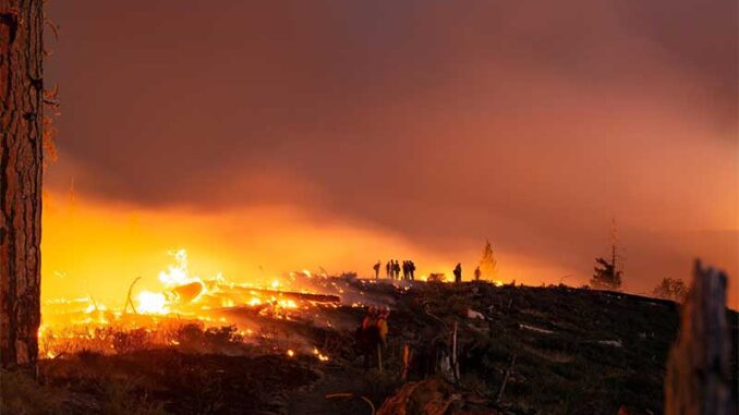 kebakaran-hutan-dan-lahan-di-california-amerika
