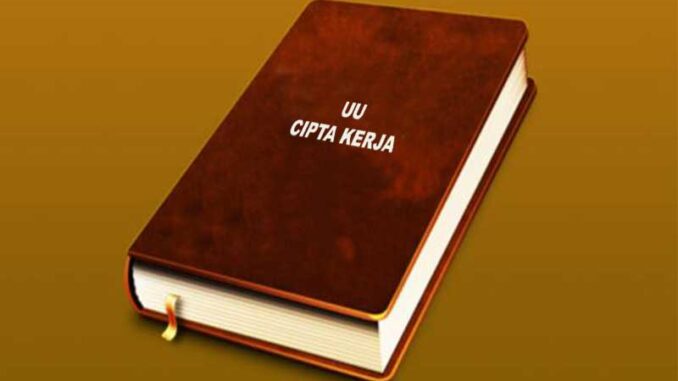 pakar-ketenagakerjaan-ugm-sebut-uu-cipta-kerja-untuk-tangkal-phk