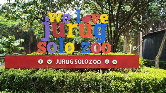 solo-zoo-nontunai