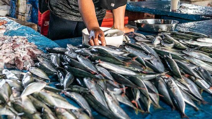 pasar-ikan-balekambang-solo
