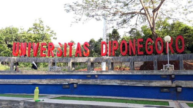 undip-5