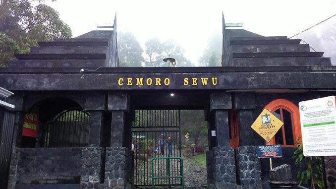 cemoro-sewu-gunung-lawu