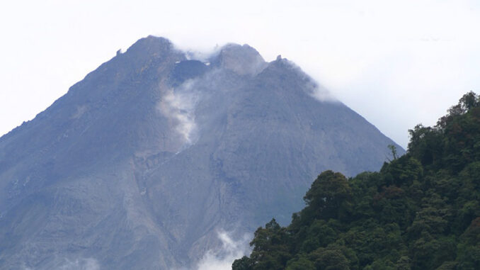 kubah-merapi-tumbuh