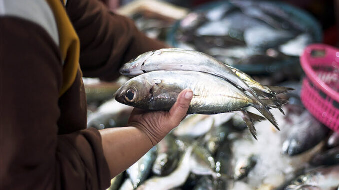 pasar-ikan-balekambang-solo-jadi-magnet-baru