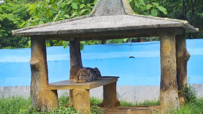 Kebun Binatang Jurug Solo Beri Diskon Khusus