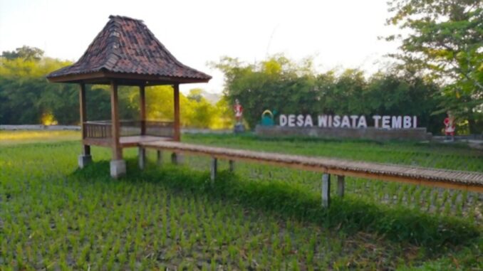 CARA MENINGKATAN KUALITAS SDM DENGAN ADANYA DESA WISATA DI INDONESIA YANG SEMAKIN BERKEMBANG