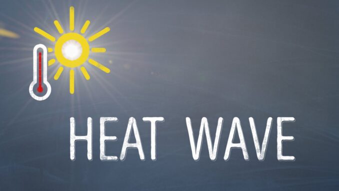 Gelombang Panas di India Suhu Capai 45 Derajat Celsius