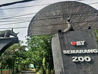 Semarang Zoo Diserbu 8.000 Wisatawan