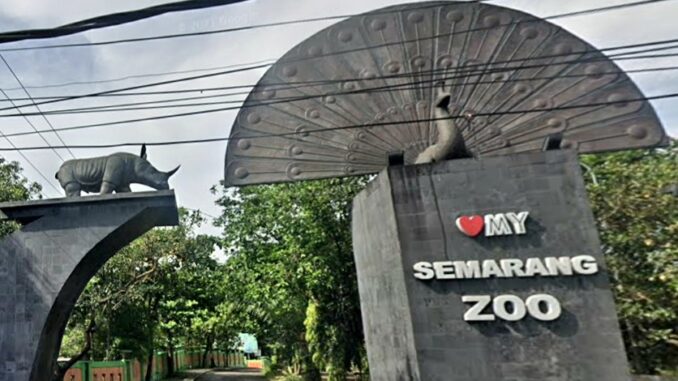 Semarang Zoo Diserbu 8.000 Wisatawan