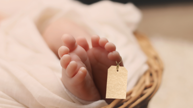 Ilustrasi Bayi Meninggal Makassar Geger, 7 Mayat Bayi Disimpan Dalam Kotak Makanan di Sebuah Kamar Kos