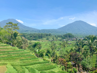 Tingkatkan Produksi Pangan, Boyolali Perketat Alih Fungsi Lahan