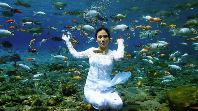 Nikmati Sensasi Dingin Menyegarkan Berenang di Sumber Air Alami Deretan Umbul Di Klaten