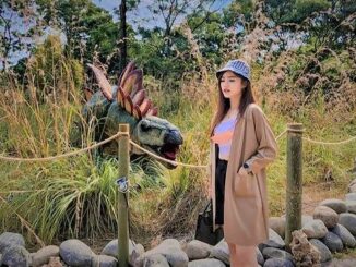 Melihat Hewan Purba Layaknya Jurrasic Park Kini Ada di Dino Park Jogja
