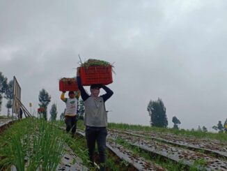Temanggung Targetkan 1.000 Hektare Lahan Untuk Program Lumbung Pangan Tercapai 2024