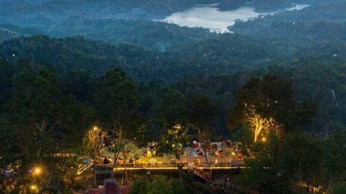 Harga Tiket Masuk Pule Payung, Spot Foto Favorit di Wisata Kalibiru Kulon Progo