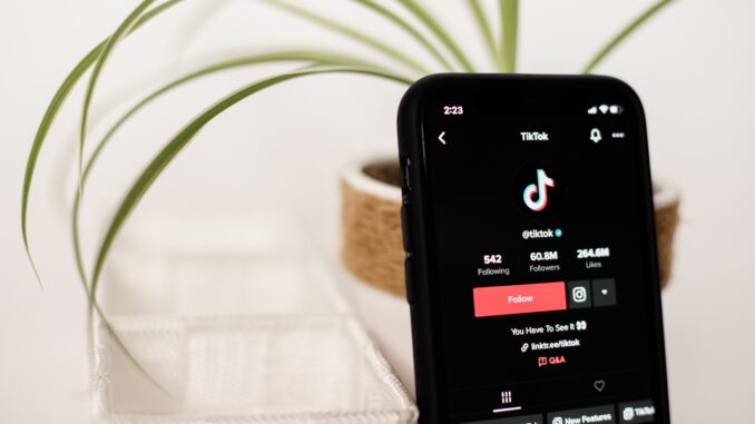 Pemasaran Melalui Aplikasi TikTok