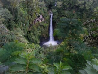Tawarkan Keindahan Alam Yang Luar Biasa, 4 Curug di Batang Ini Bak Surga Yang Tersembunyi