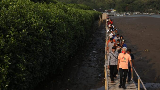 ganjar Ganjar: Hutan Mangrove Muara Kali Ijo Berpotensi Sebagai Ekowisata dan Sumber Bahan Gula Nipah