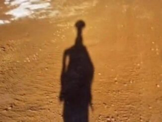 Bayangan Menyerupai Alien Terdeteksi Aplikasi Google Earth