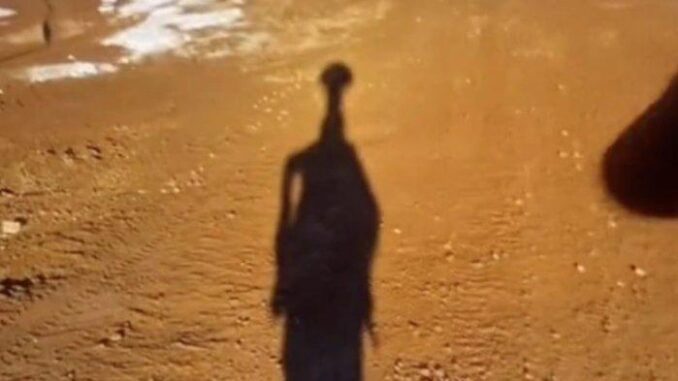 Bayangan Menyerupai Alien Terdeteksi Aplikasi Google Earth
