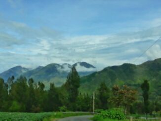 5 Jalan di Wonosobo Ini Tawarkan Keindahan Alam Mirip New Zealand