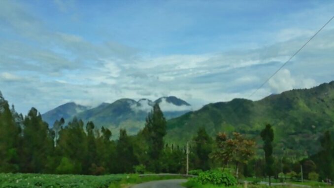 Jalan Tambi 5 Jalan di Wonosobo Ini Tawarkan Keindahan Alam Mirip New Zealand