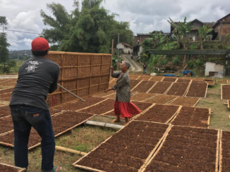 Temanggung Dapat Tambahan Dana bagi Hasil Cukai Tembakau Rp6 Miliar