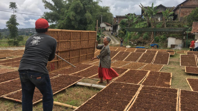 Temanggung Dapat Tambahan Dana bagi Hasil Cukai Tembakau Rp6 Miliar