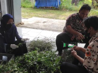 Tim Pemberdayaan Unsoed Kembangkan Tanaman Herbal di Tegal
