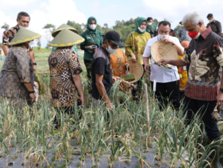 Dukung Ketahanan Pangan, Ganjar Resmikan Pusat Pelatihan Pertanian Bawang Putih
