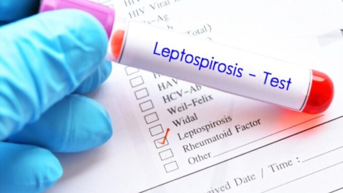Leptospirosis Pascabanjir