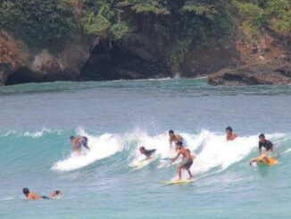 Surfing