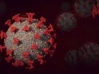 corona virus liburan nataru