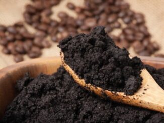 kopi