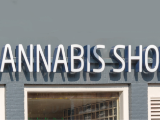 Toko Ganja Legal