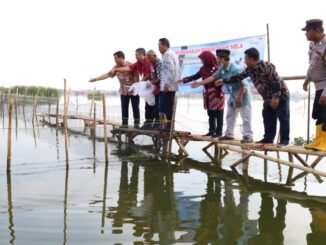 Benih Ikan dan Jaring Tancap