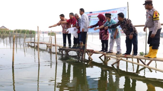 Benih Ikan dan Jaring Tancap
