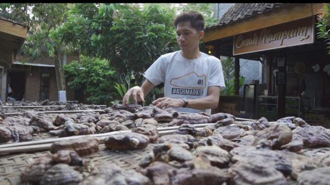 Puput Setyoko petani jamur