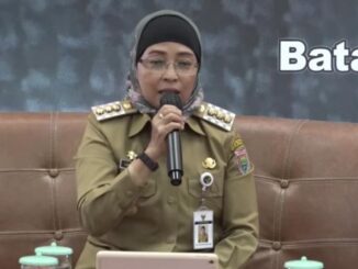 Kembang api tahun baru
