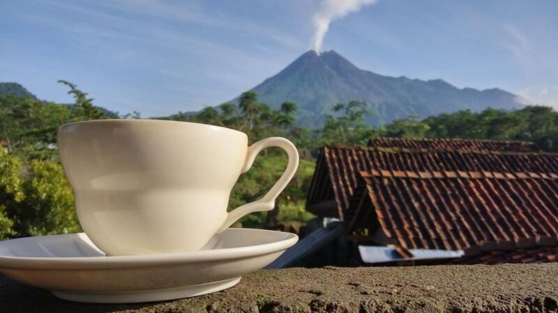 Warung Kopi Merapi