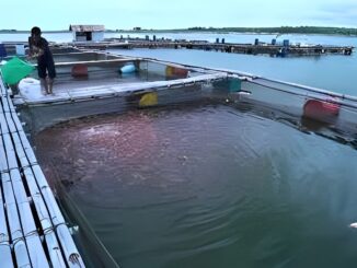 Waduk Kedung Ombo Normal