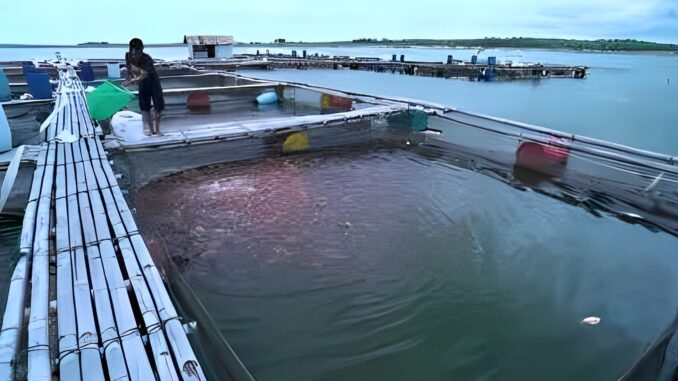 Waduk Kedung Ombo Normal
